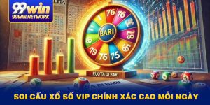 soi-cau-xo-so-vip-chinh-xac-cao-moi-ngay